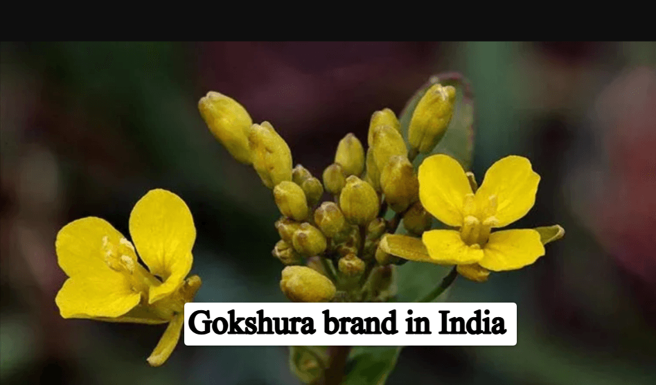 Gokshura brand in India
