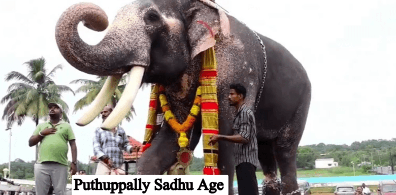 Puthuppally Sadhu Age