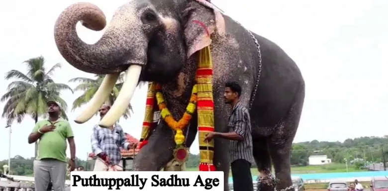 Puthuppally Sadhu Age